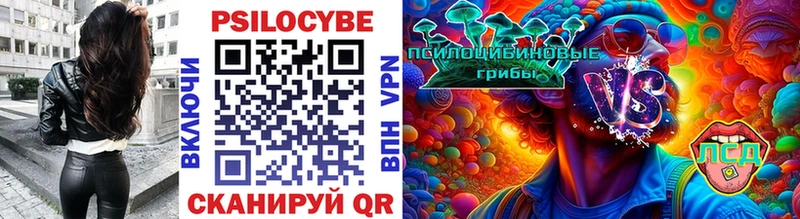 Купить закладки  Ленинск  Галлюциногенные грибы Cubensis 