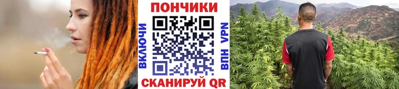 Купить где  Ленинск  Шишки марихуана тримм 
